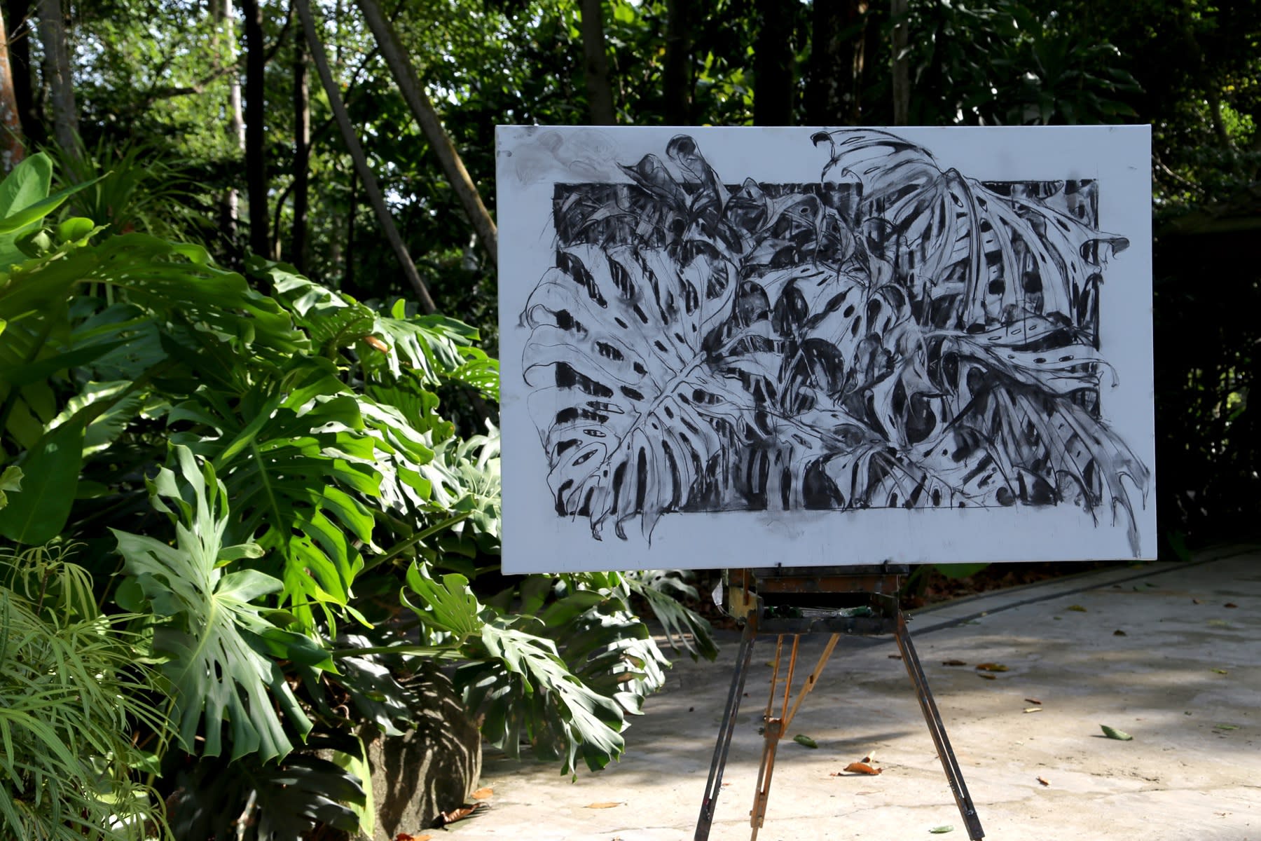 30 AUGUST 2019 SARACA STREAM WALK, SINGAPORE BOTANIC GARDENS Green is the New Black photo: Agata Byrne