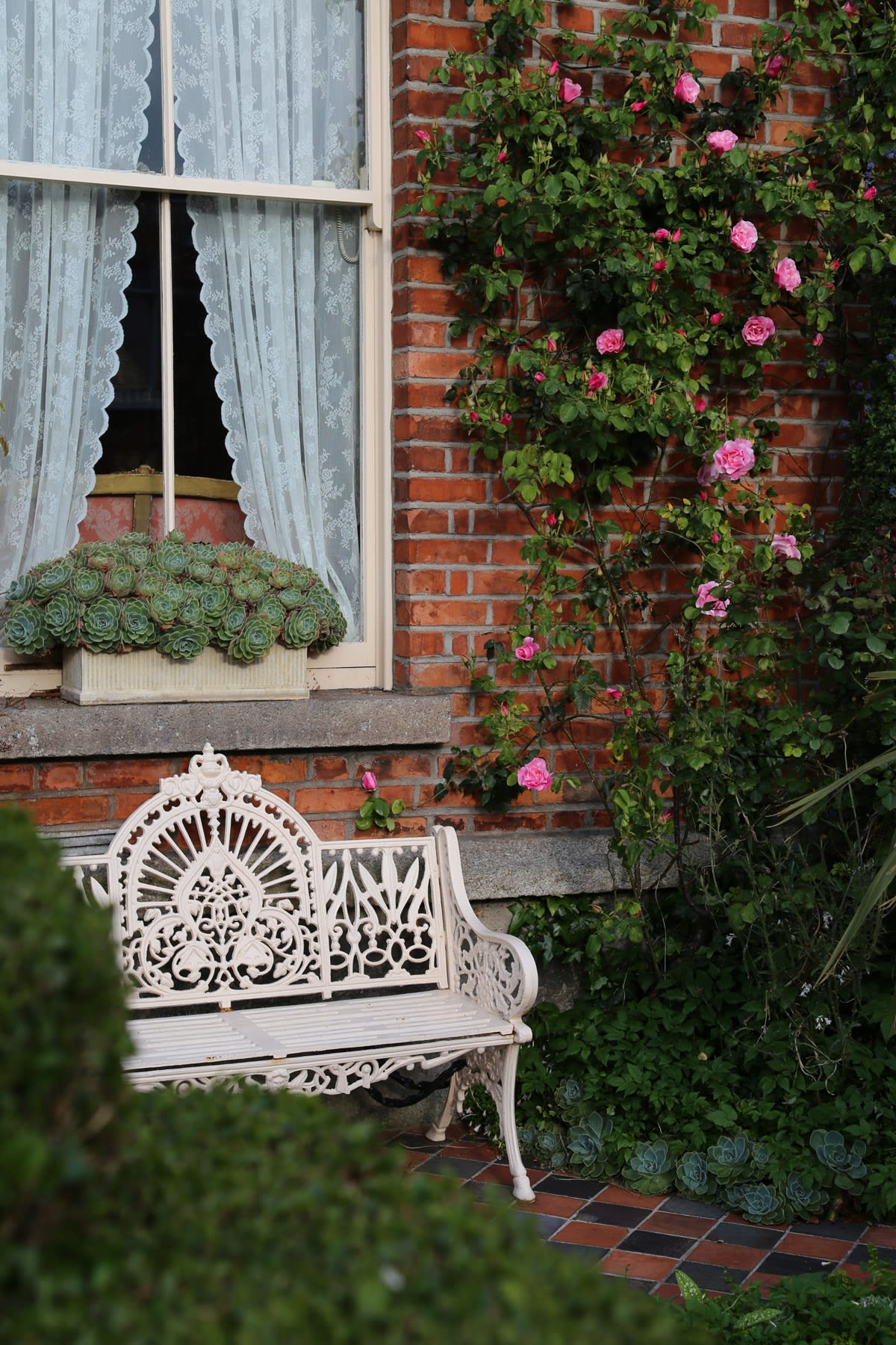 28 APRIL 2020 64 BEECHWOOD AVE UPPER, RANELAGH, DUBLIN Quiet Now photo: Agata Byrne