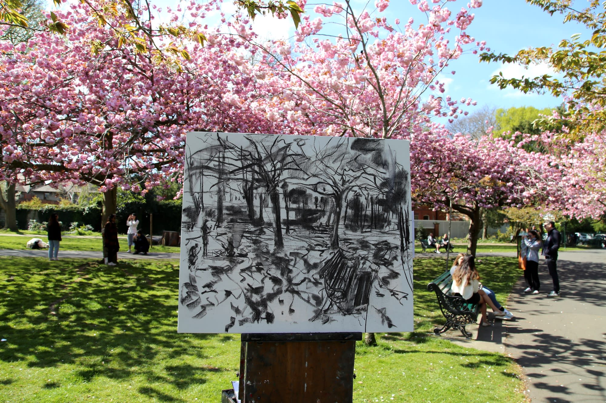 17 APRIL 2021 HERBERT PARK, DUBLIN Spring is Here! Herbert Park photo: Agata Byrne