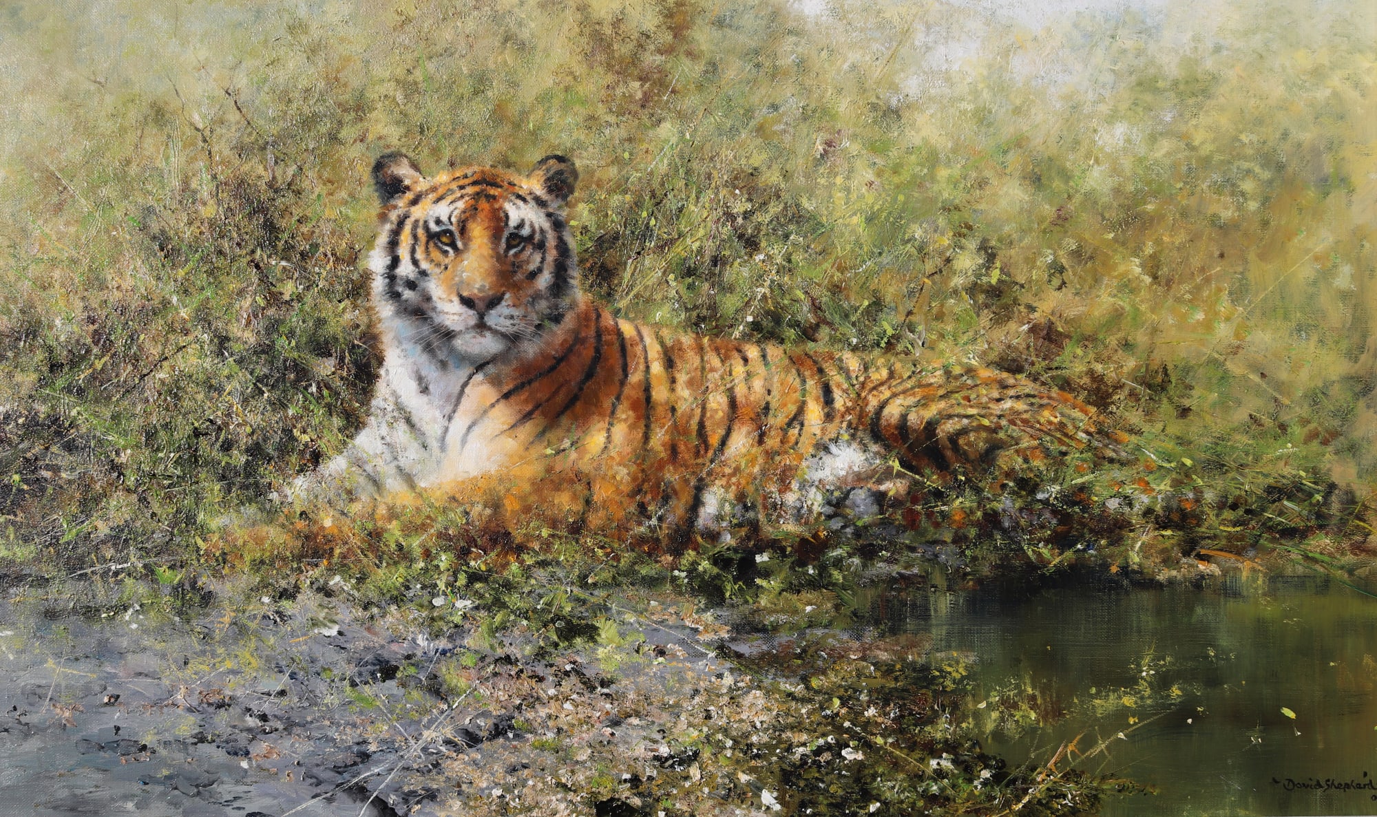 David Shepherd