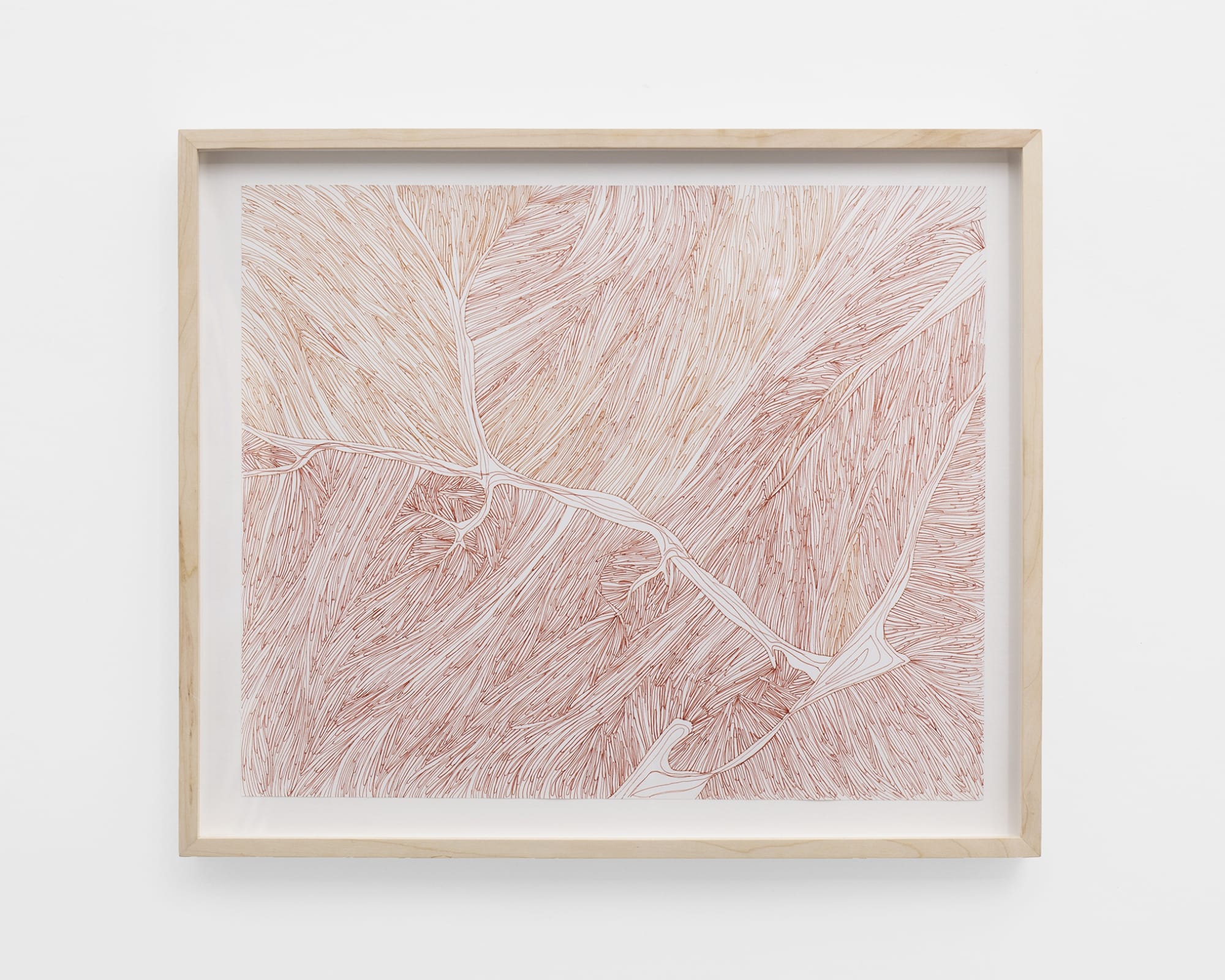 Fibras 2, 2021 Ink on paper 35.6 x 43.2 cm