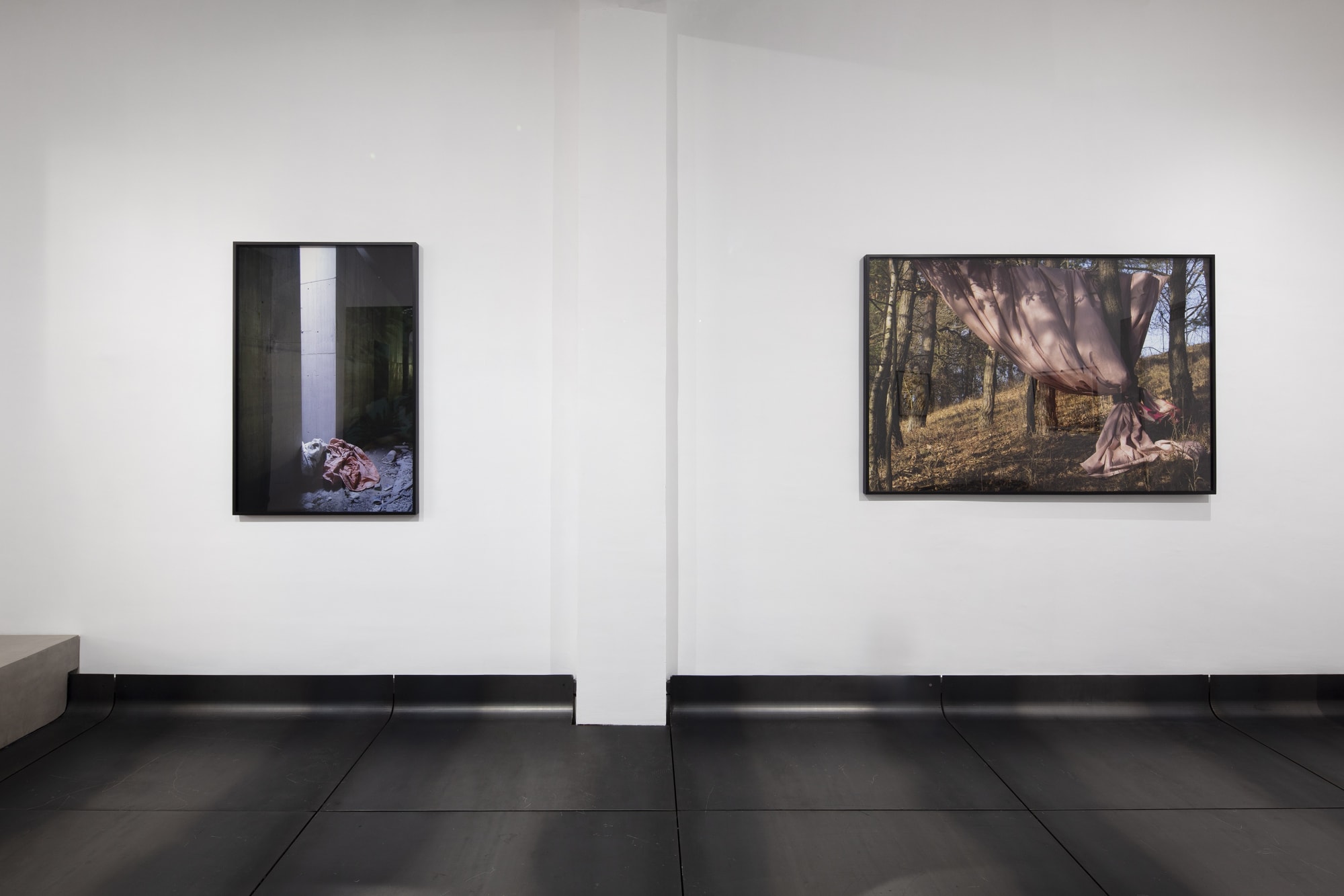 Installation view of Elfie Semotan: Color y Carne , Campeche, Mexico City. Photo: Ramiro Chaves @whitebalancemx, Courtesy Studio Semotan ©️Elfie Semotan