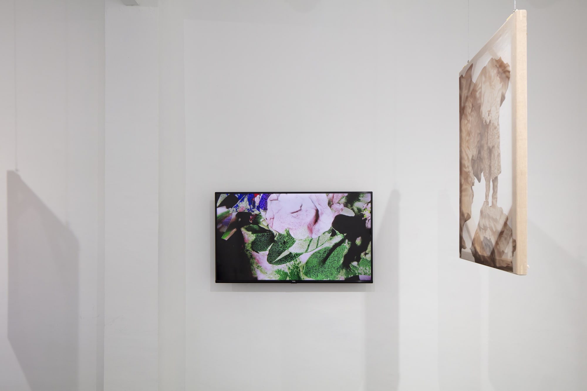 Exhibition view: Julieta Gil, ¿Quién mira a quienes miran?, Campeche, Mexico City, 2024 Courtesy of the artist and Campeche, Mexico City Photography by Ramiro Chaves @chavesdoc