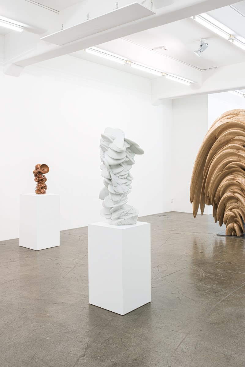 Tony Cragg