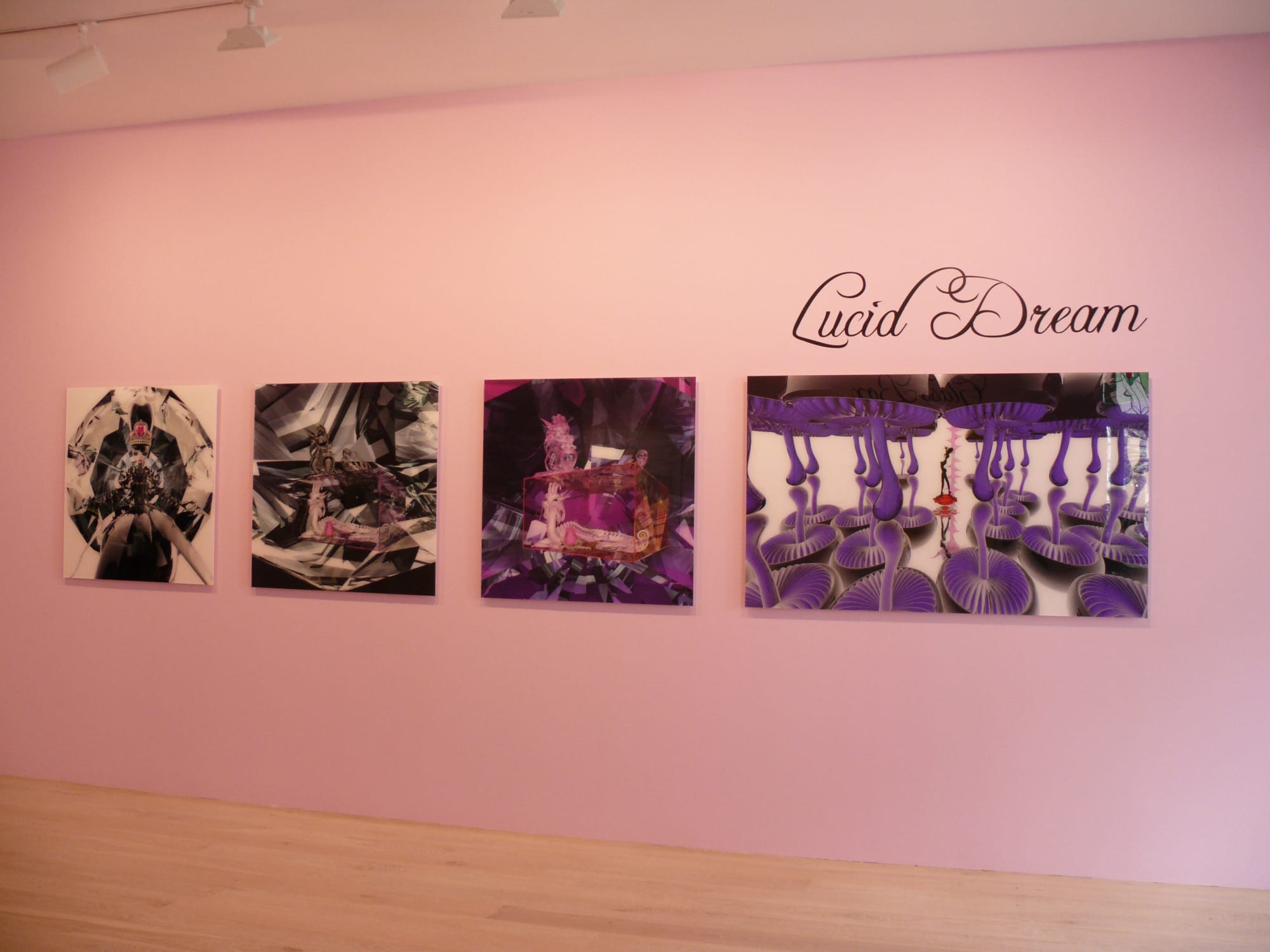 Lucid Dream, Black Rose, Glass Box