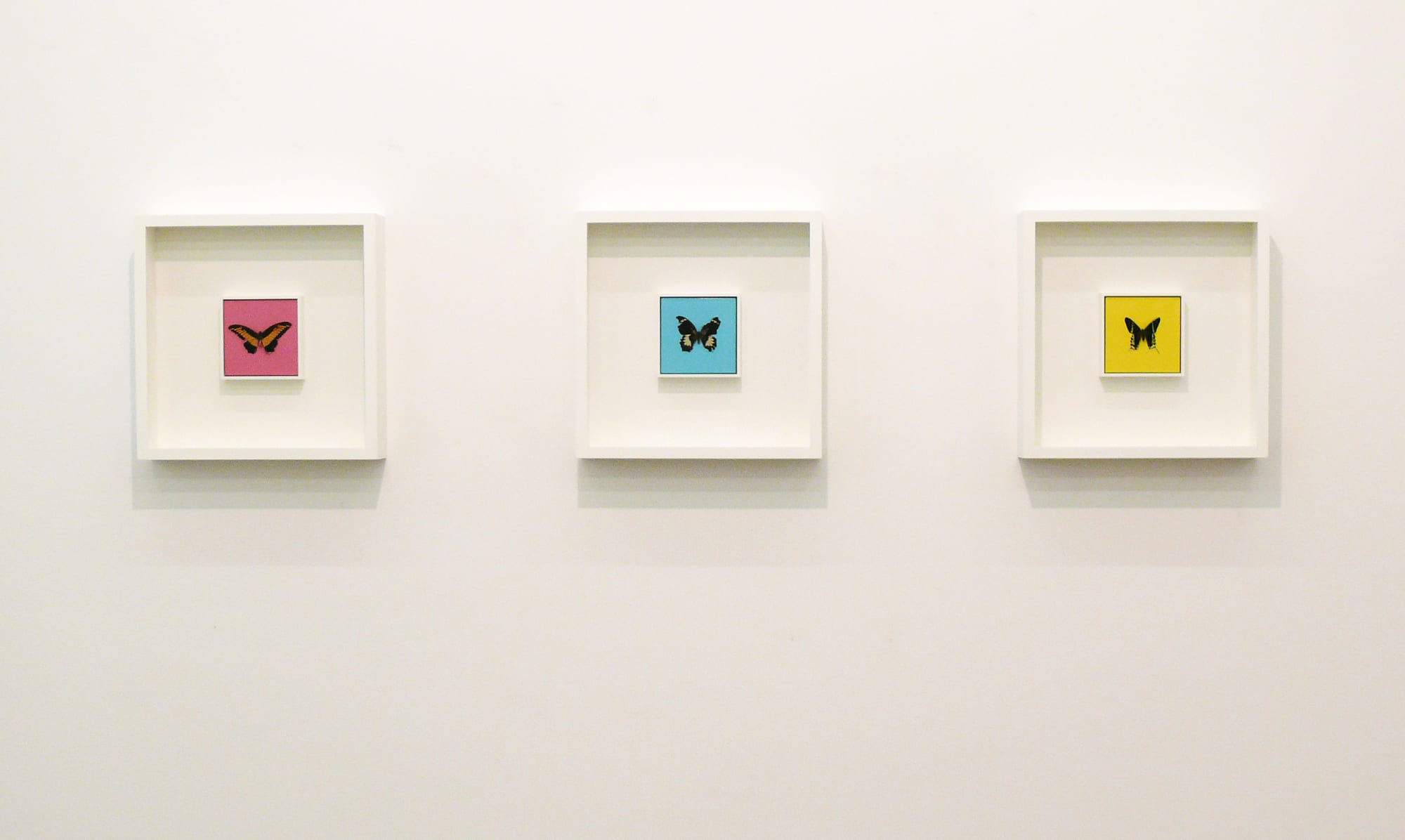 The Dead and the Souls