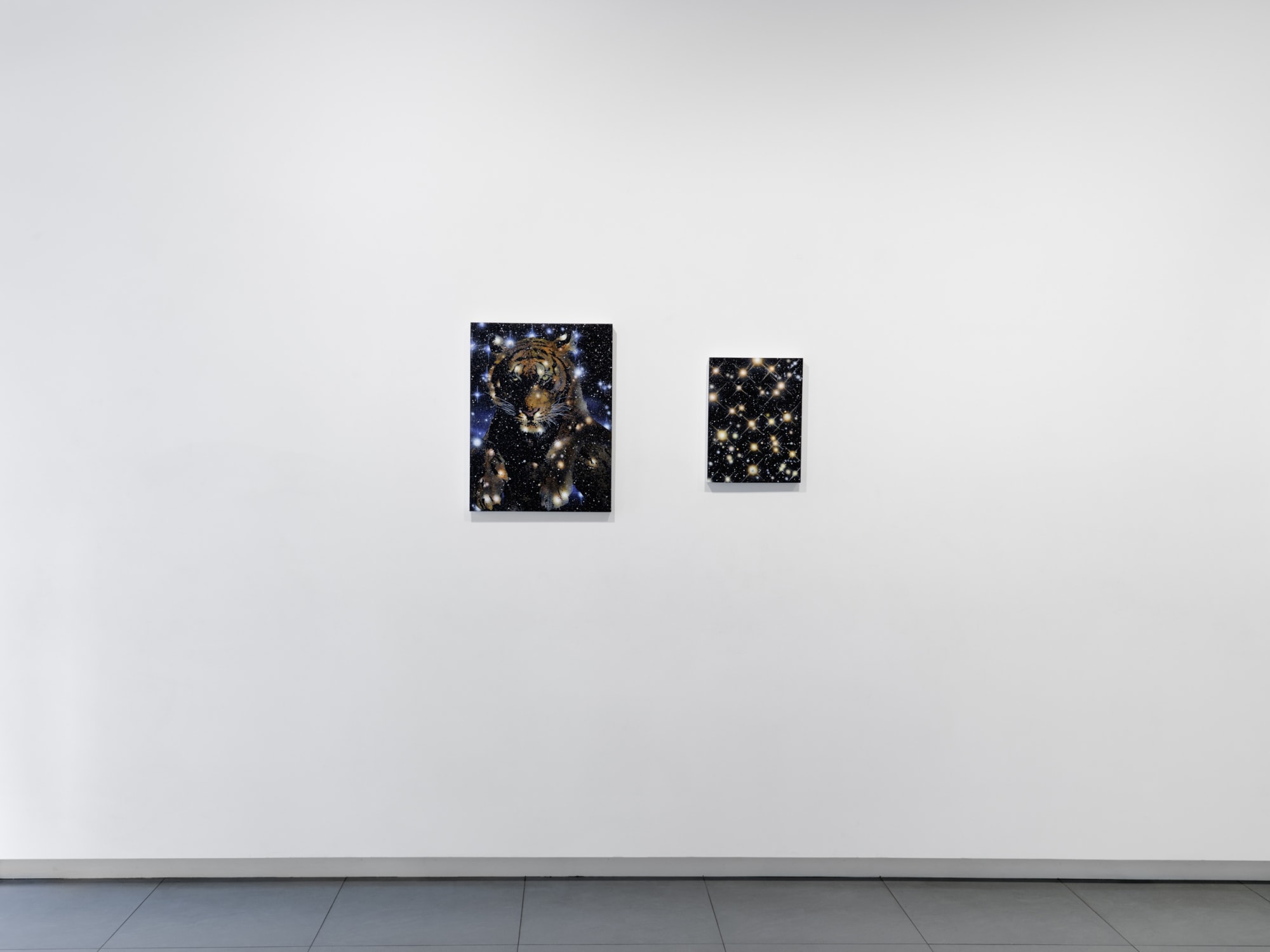 In The Stars I Trust