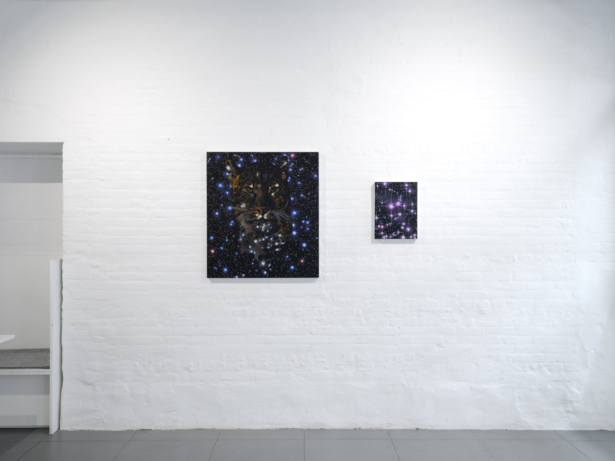 In The Stars I Trust