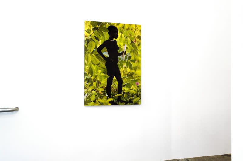 Gow Langsford Gallery Lorne Street Opening