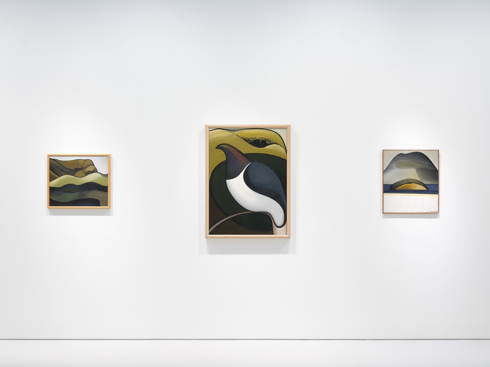 A Flight Through Time