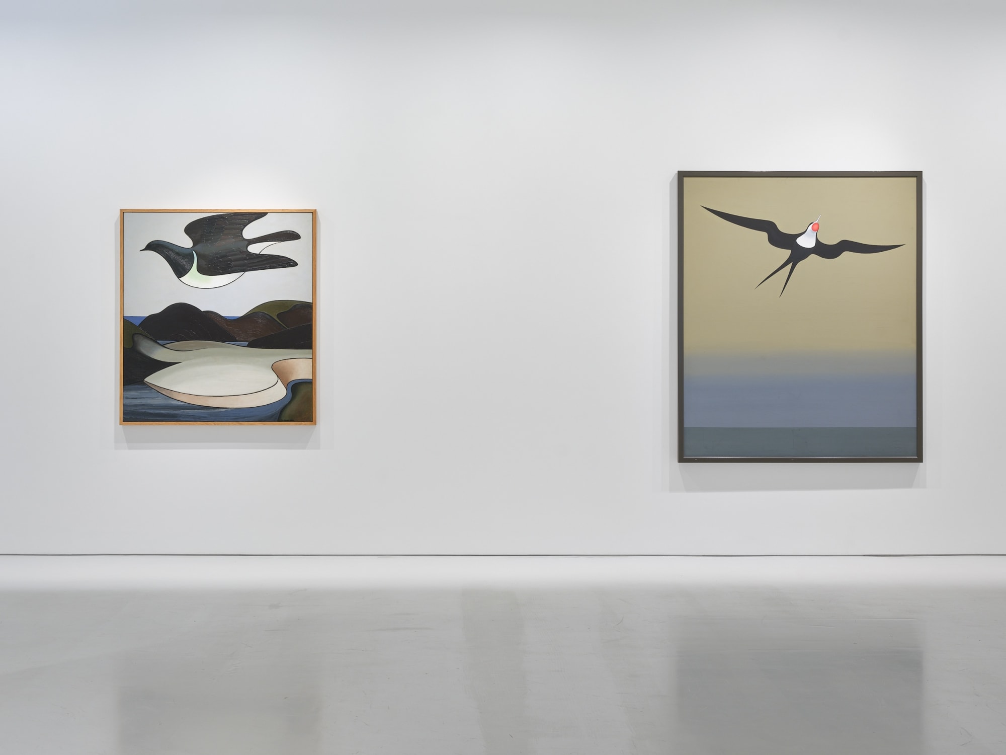 A Flight Through Time