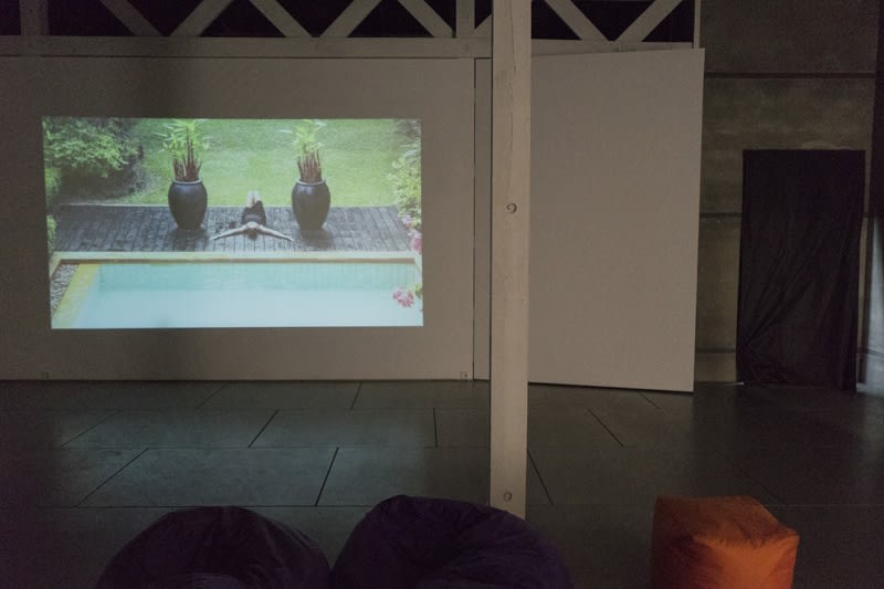 Katya Tzareva. A STORY OF ONE WHITE HOUSE