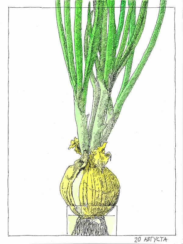 Nikita Alexeev. PAPER CHAPELS… БУМАЖНЫЕ ЧАСОВНИ… CHAPELLES EN PAPIER…