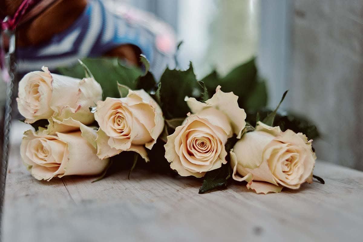 Ася Феоктистова