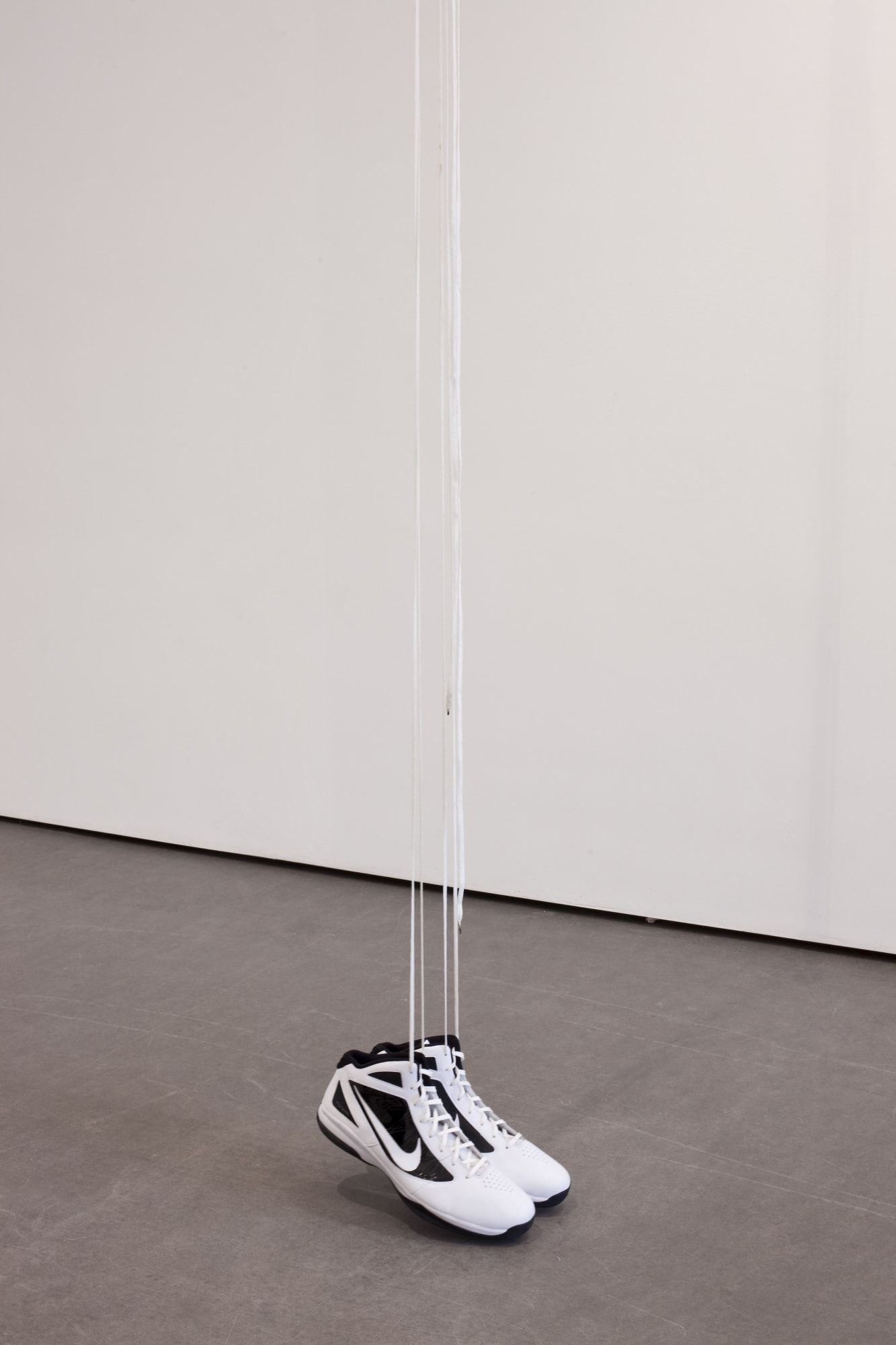 Pewter Wings, Golden Horns, Stone Veils