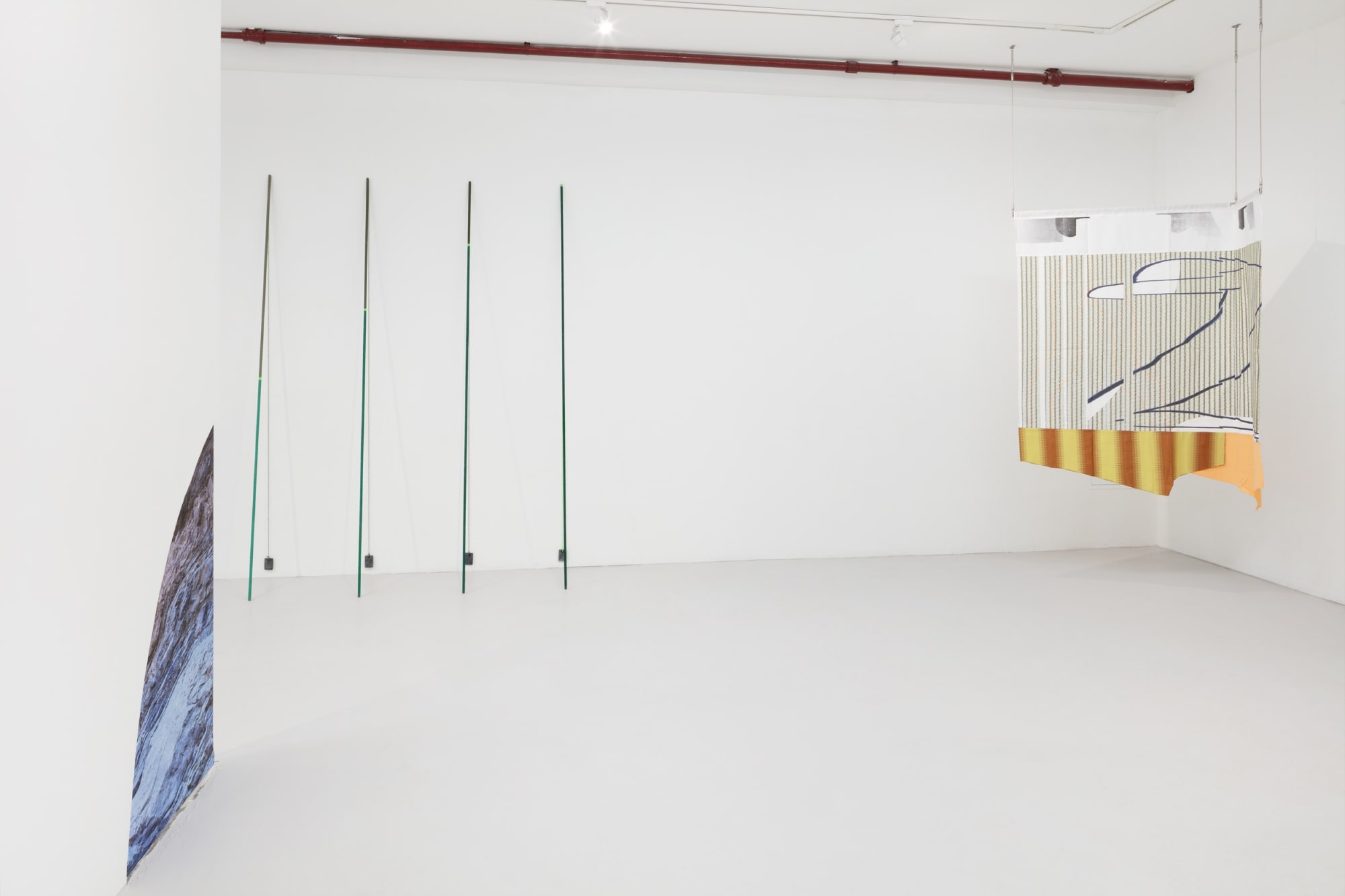 Letha Wilson, Sonia Almeida, Heidi Norton, Claudia Peña Salinas