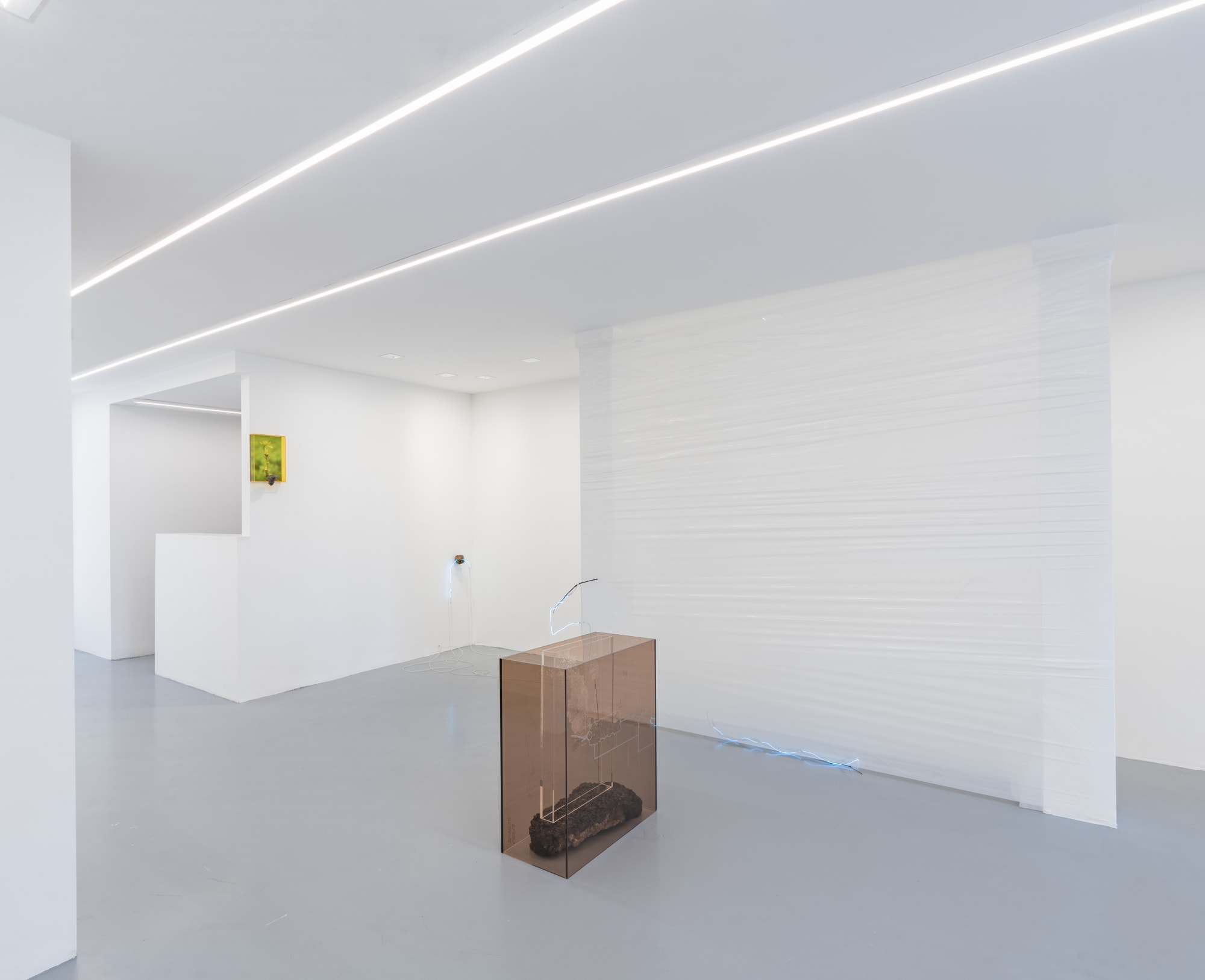 Saskia Noor van Imhoff