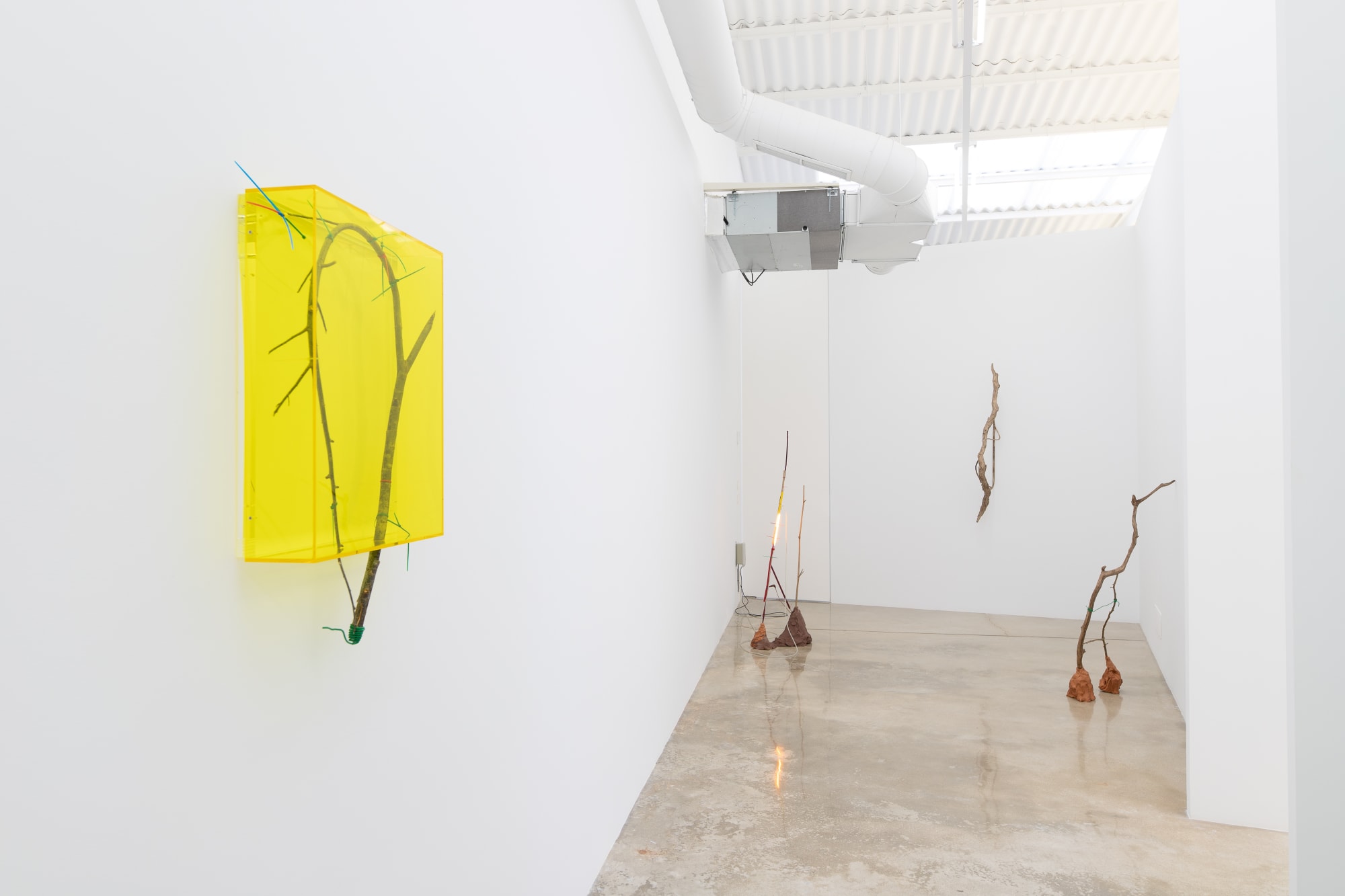 Saskia Noor Van Imhoff