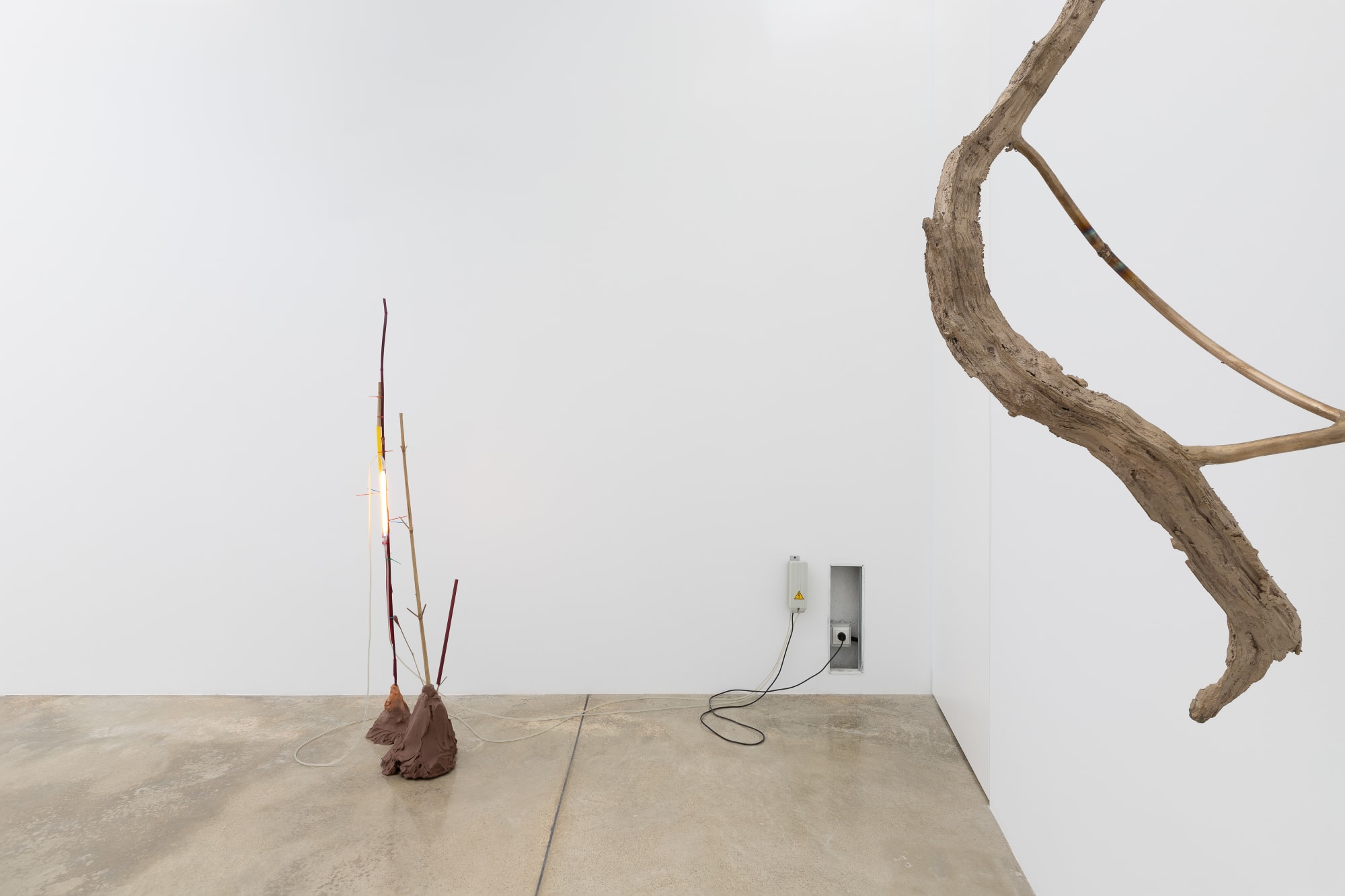 Saskia Noor Van Imhoff