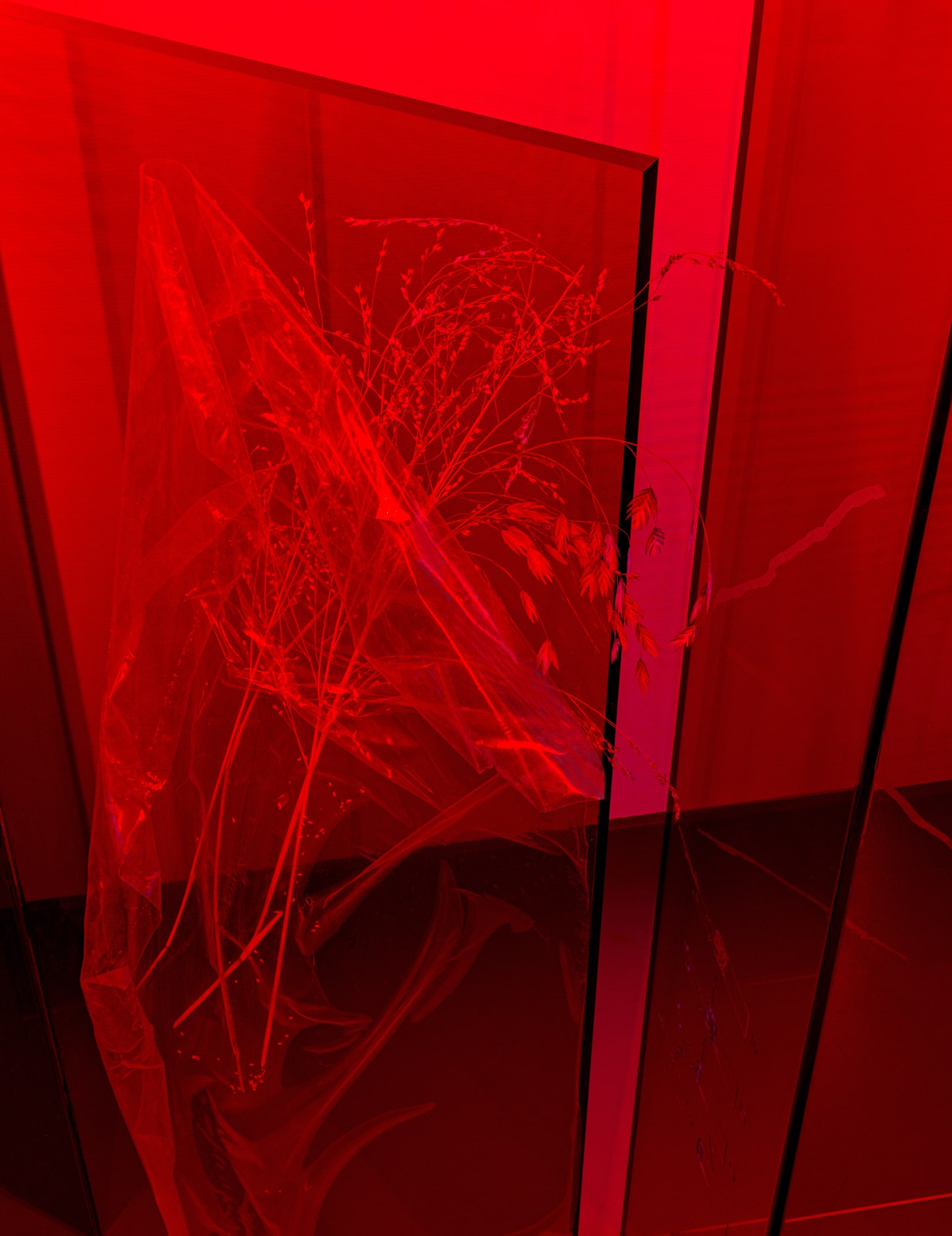 Saskia Noor van Imhoff