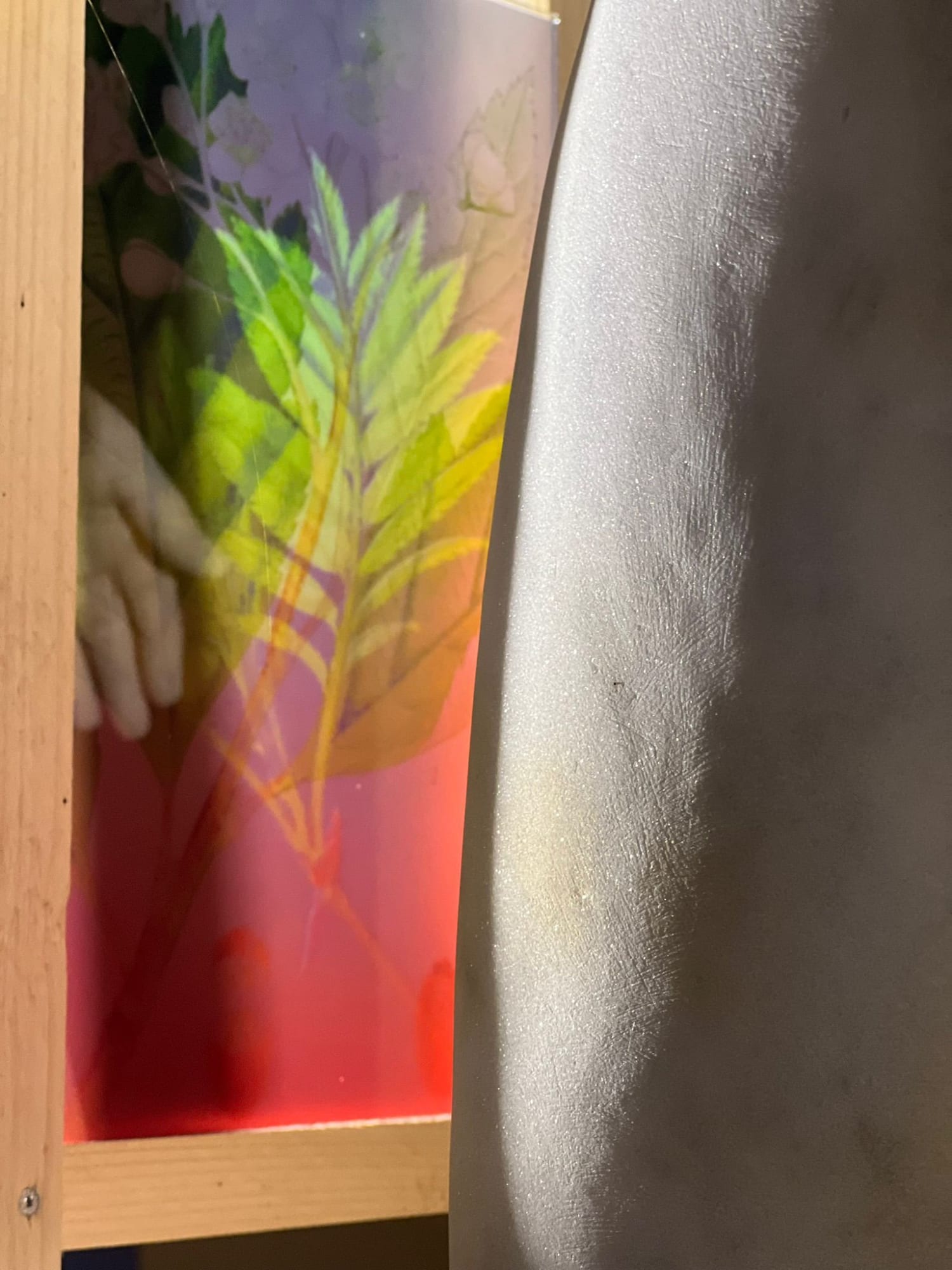 Saskia Noor van Imhoff