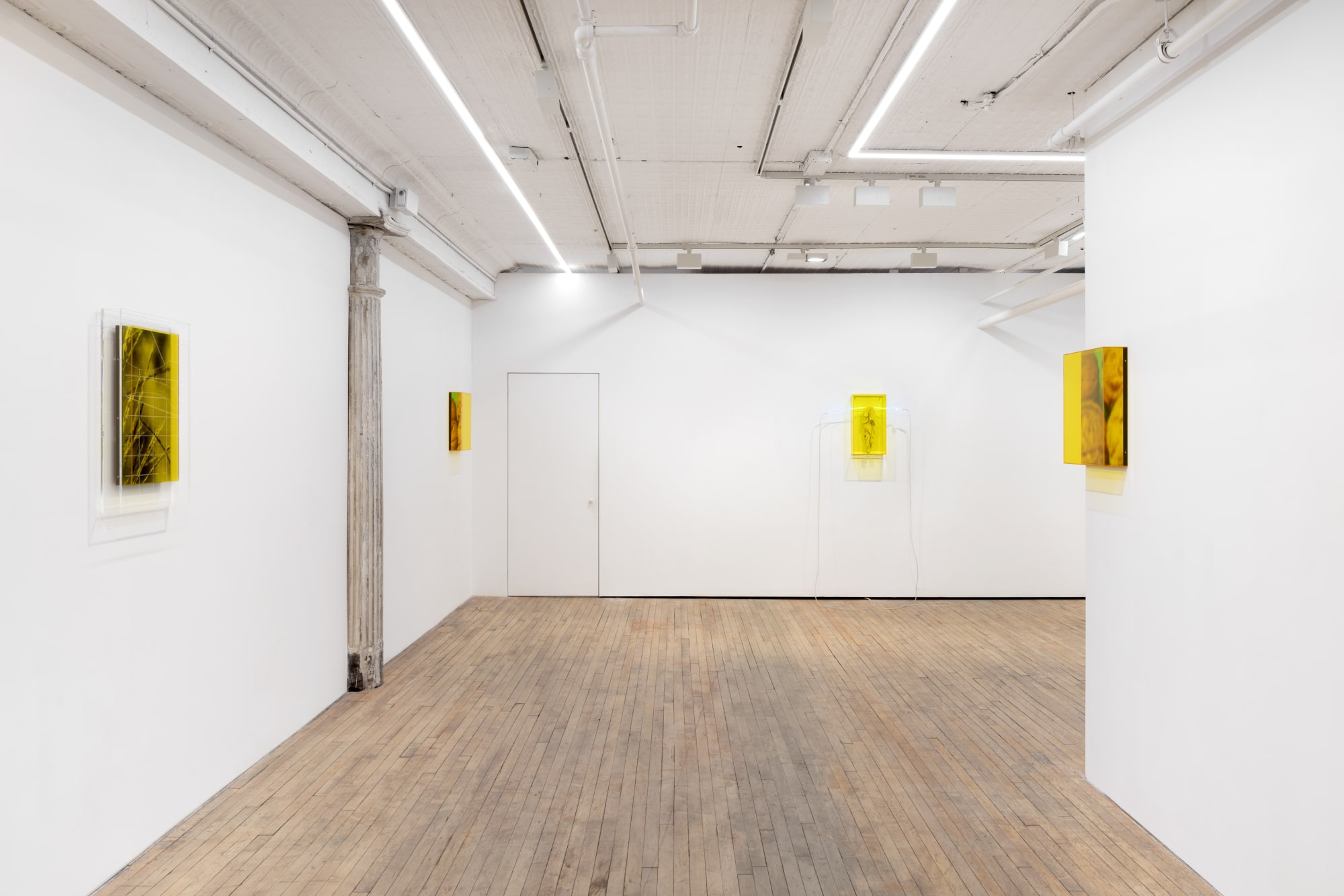 Saskia Noor van Imhoff