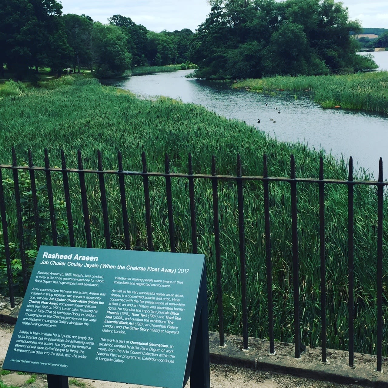 Rasheed Araeen, Jub Chauker Chulay Jayain (When the Chakras Float Away), 2017