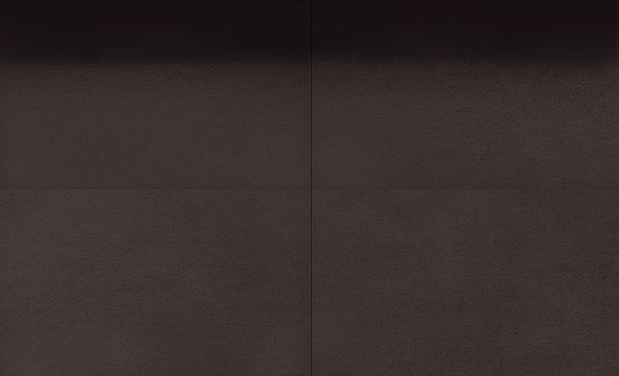 Muzzumil Ruheel, Shadows Circus