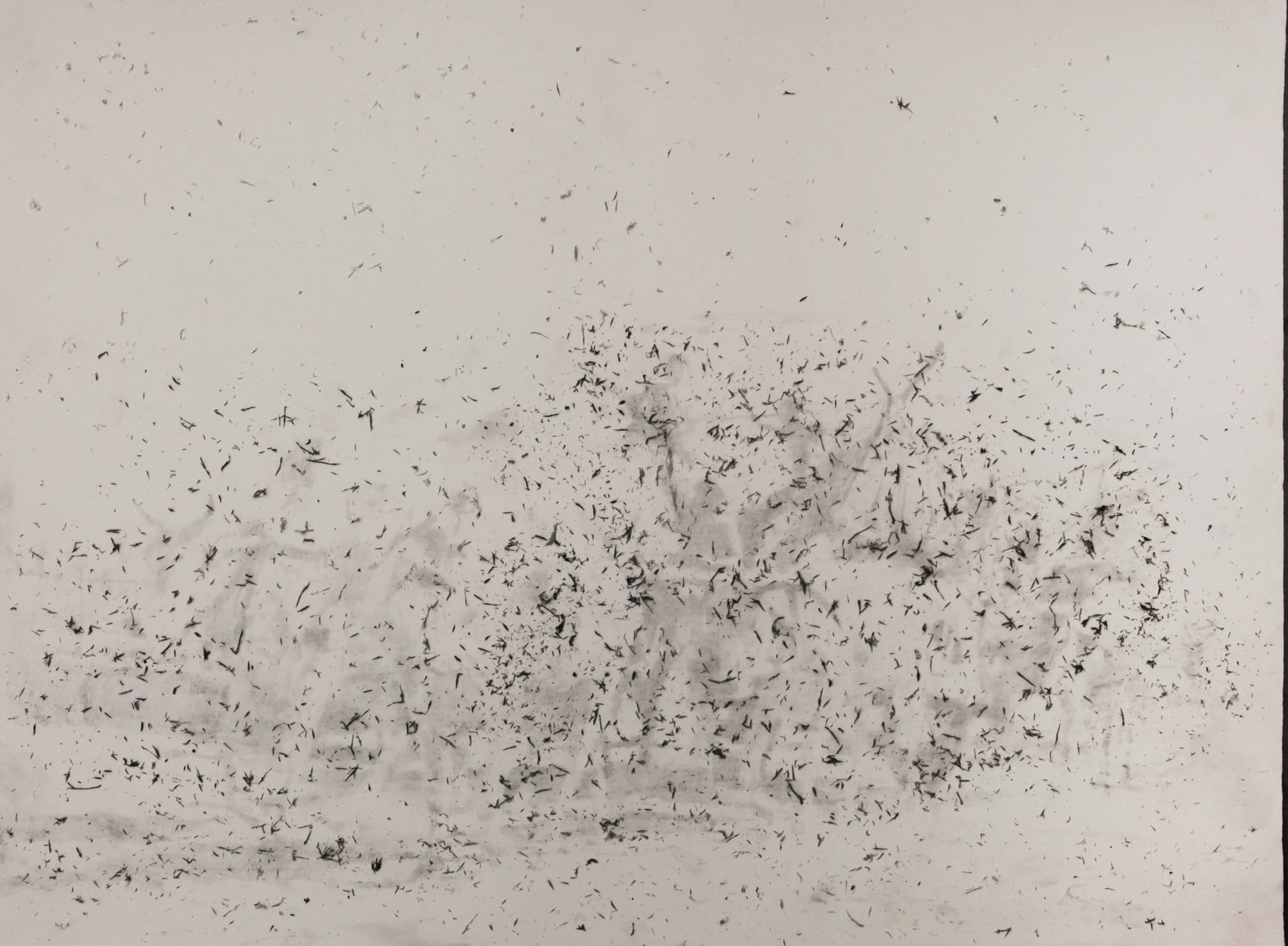 Imran Channa, Pasts in Particles III, 2016