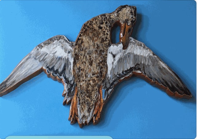 Northern Shoveler Hen, Death of the Wetlands (2017) acrylic paint on wood, lacquered, $2500 JANA NAPOLI