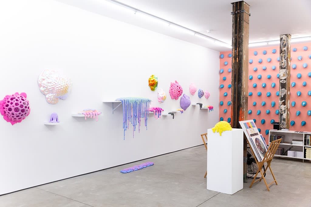 Dan Lam "Delicious Monster" installation 
