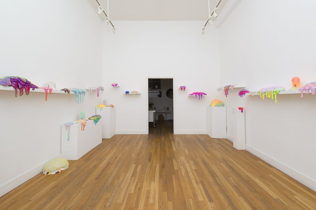 Dan Lam "Bait" installation view