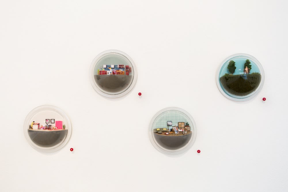 Abigail Goldman installation