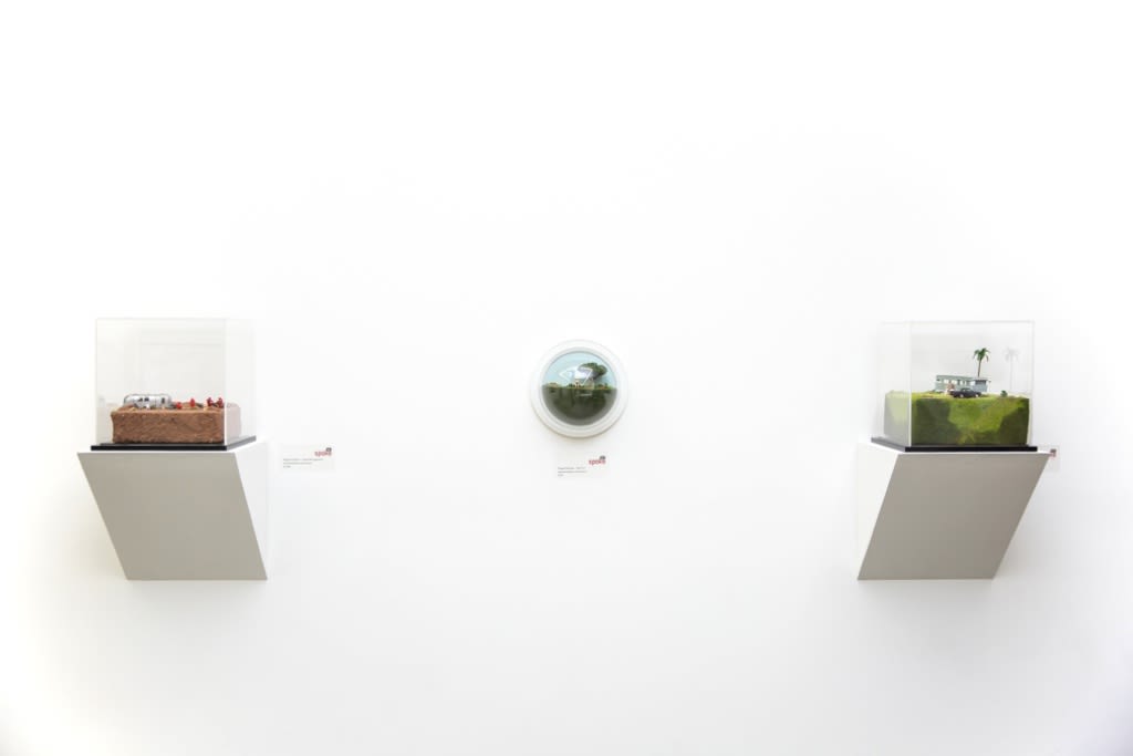 Abigail Goldman installation