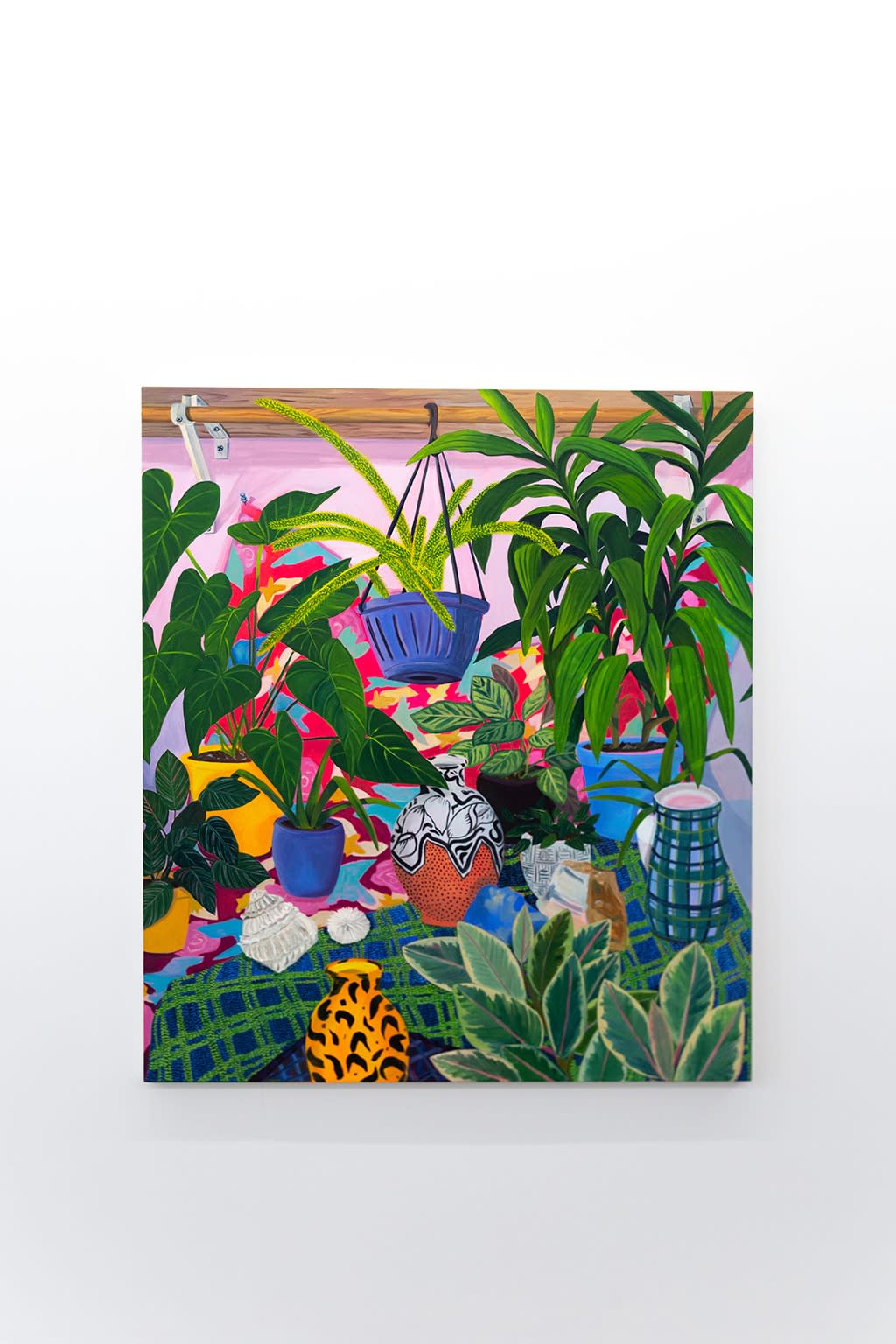 Anna Valdez "Natural Curiosity" installation