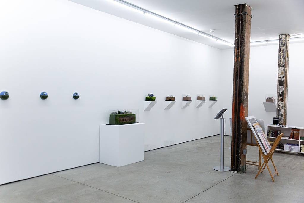 Abigail Goldman installation view