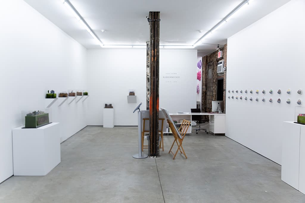 Abigail Goldman installation view