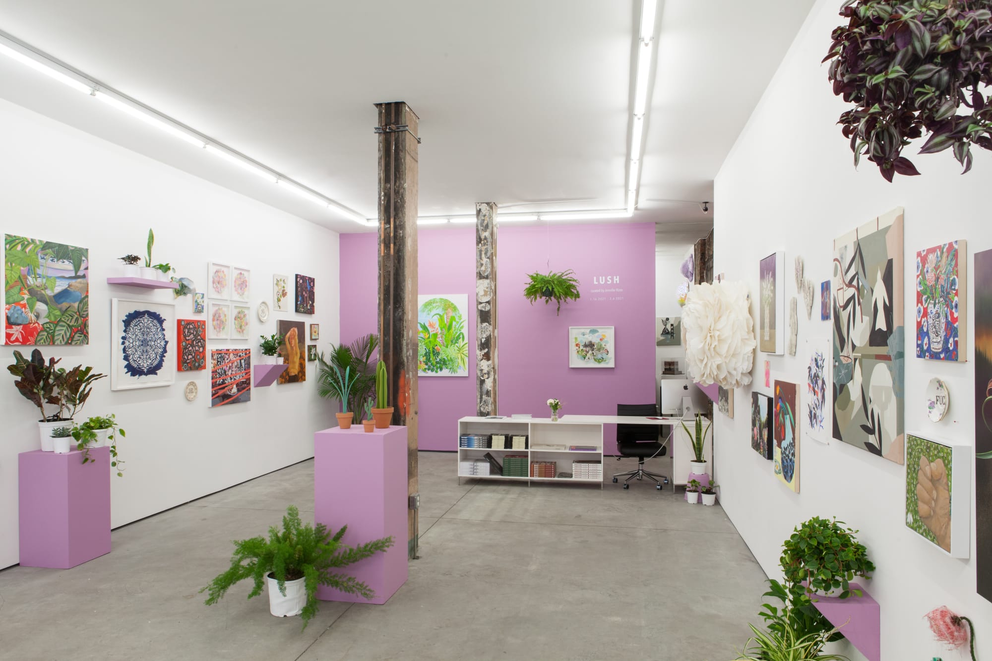 Installation image from "LUSH at Hashimoto Contemporary NYC