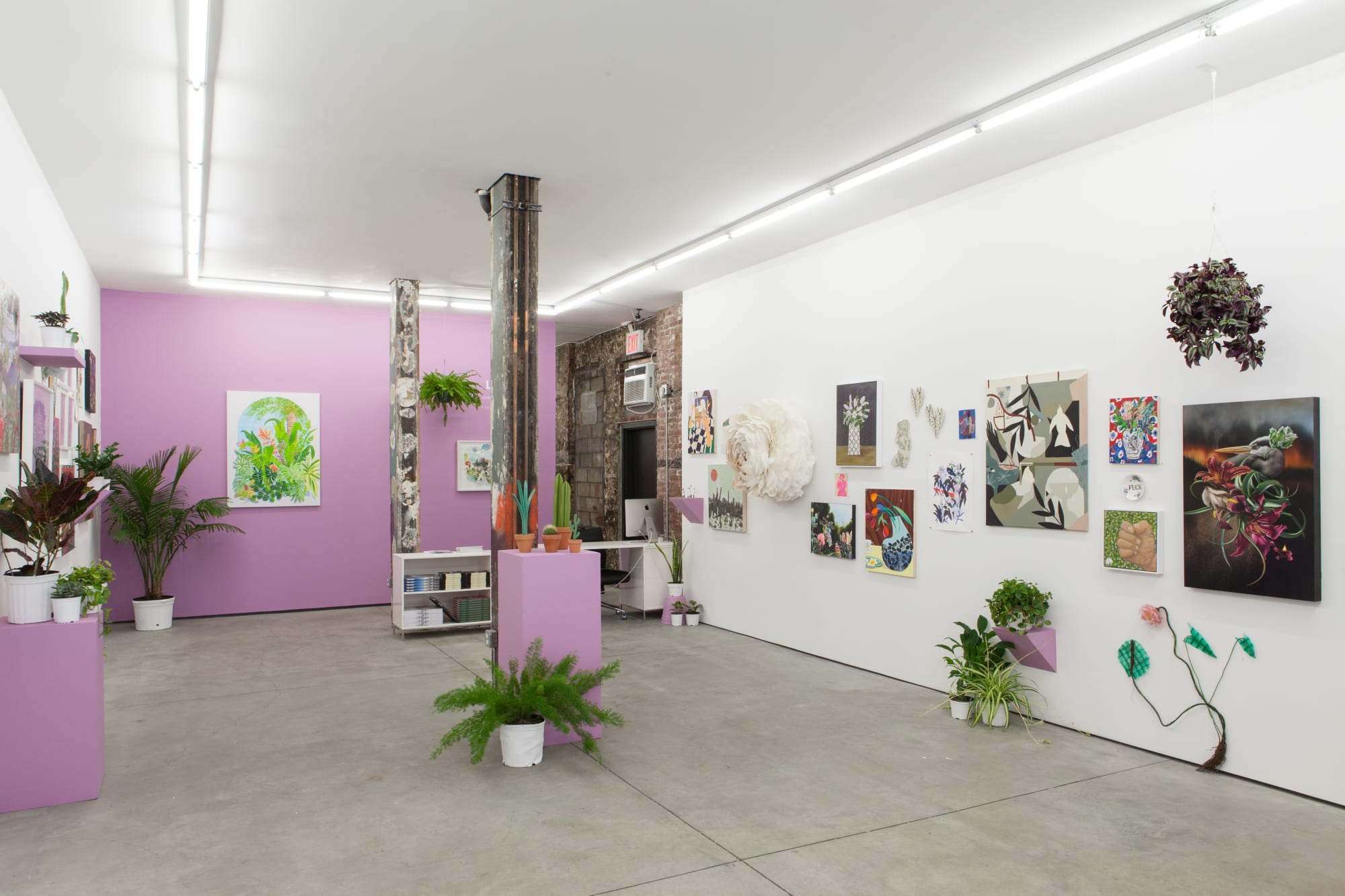 Installation image from "LUSH at Hashimoto Contemporary NYC