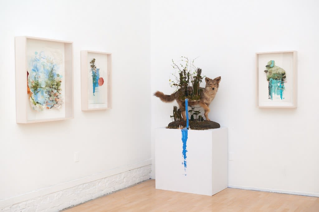 Installation image from Gregory Euclide's  "Preservation Paradox" at Hashimoto Contemporary SF