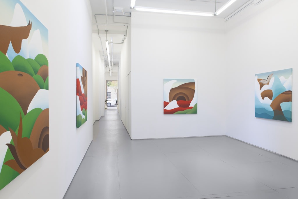 Installation view of Bianca Nemelc solo exhibition at Hashimoto Contemporary NYC
