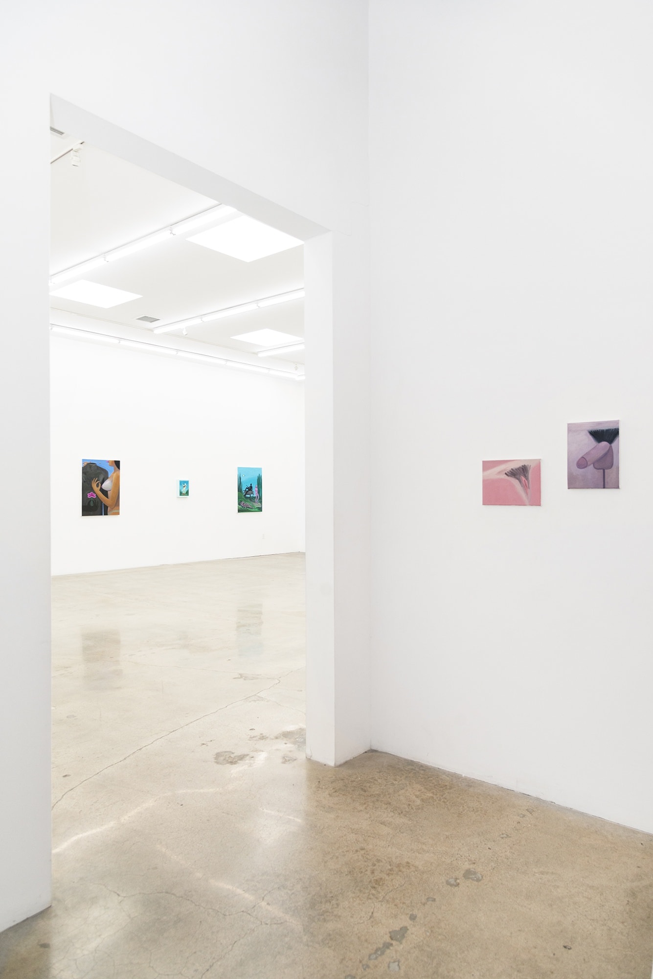 Gallery installation photo of Corey Lamb's solo show "Natural Selection"