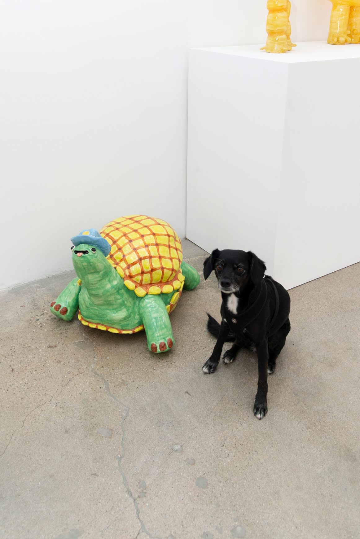 Installation view of Katie Kimmel & Lorien Stern's exhibition You Are Good at Hashimoto Contemporary Los Angeles