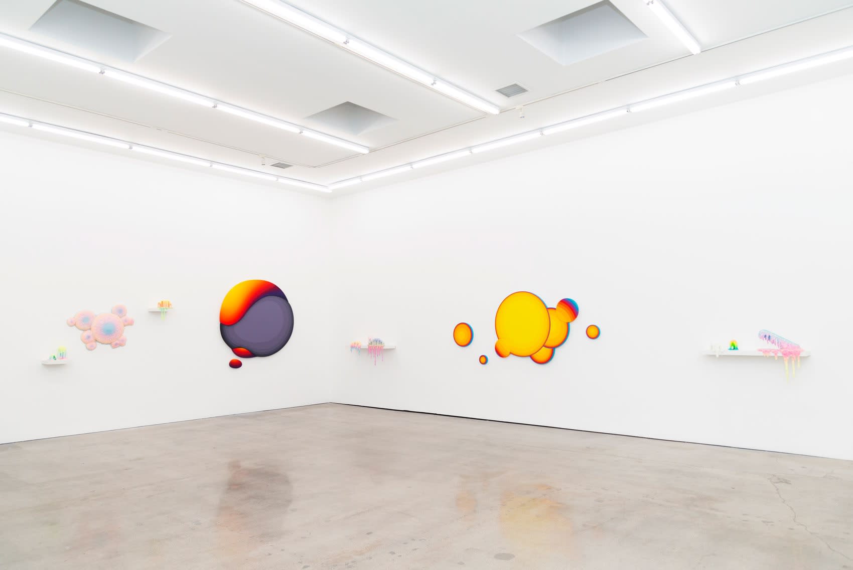 Installation shot of Ripple Effect with works by Dan Lam and Jan Kaláb.