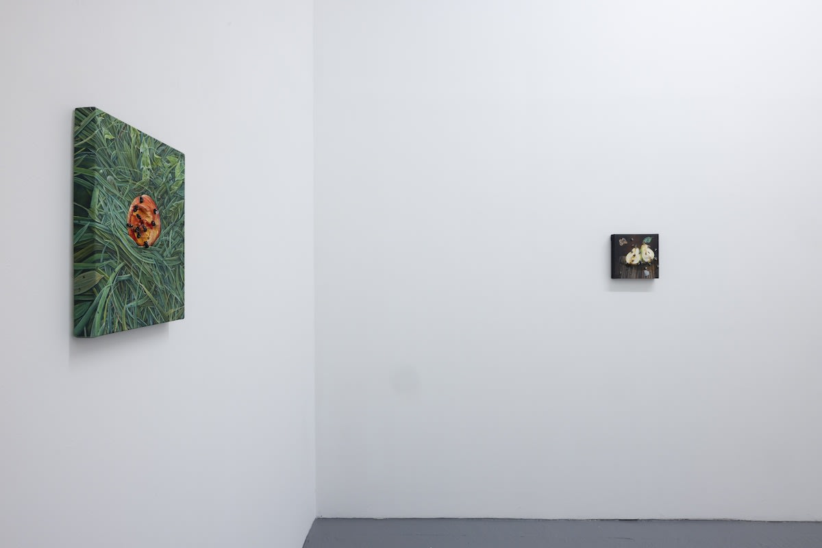 Installation photo from the Nic Dyer Exhibition "BREADCRUMB"