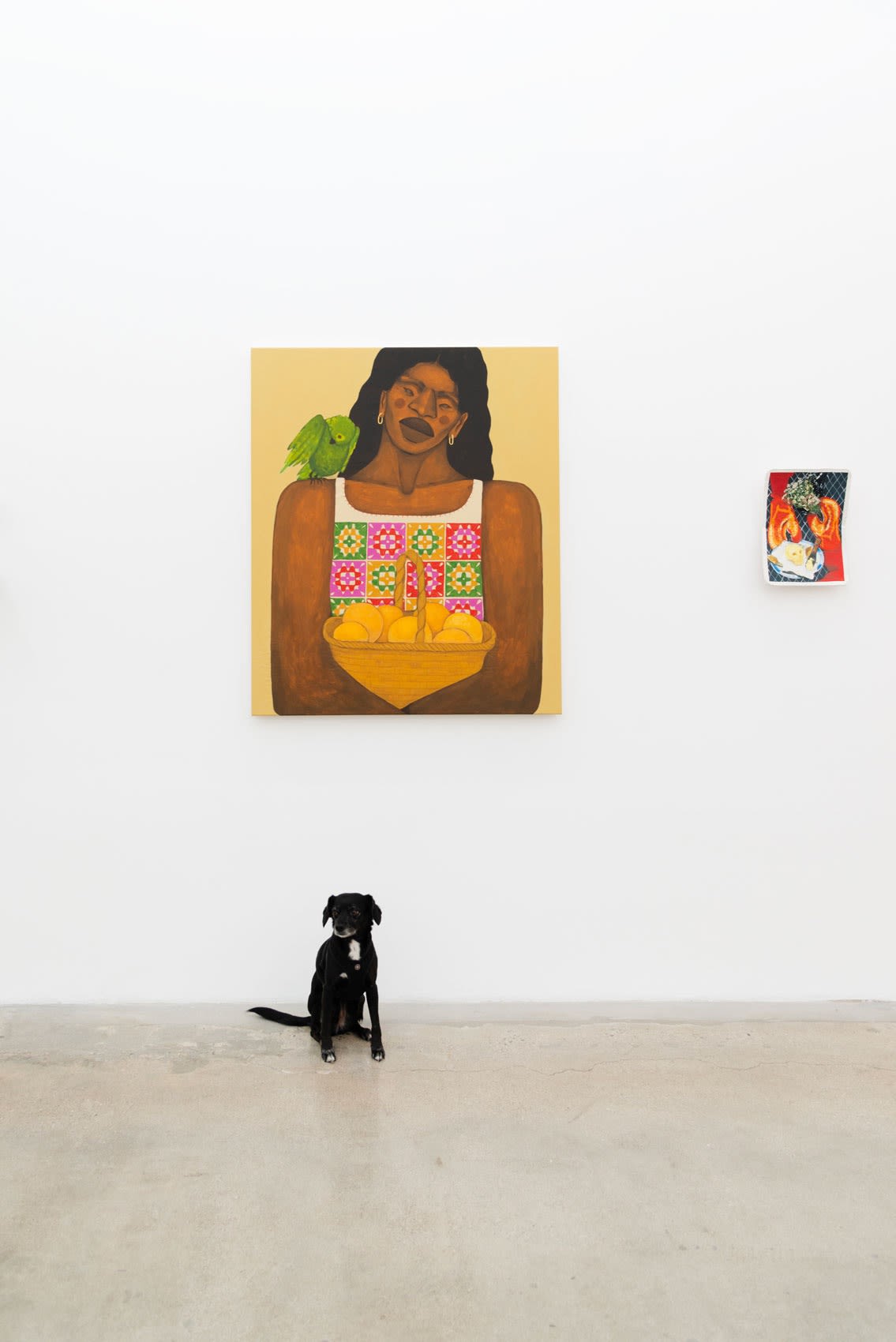 Installation photo of Potluck exhibition