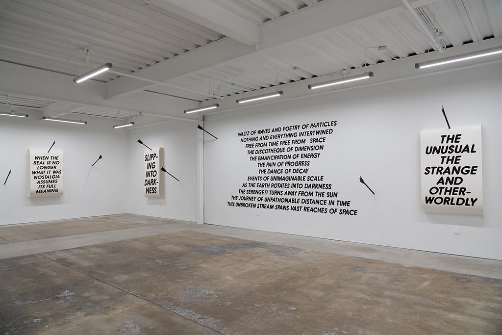 Installation image of Chris Austin's show