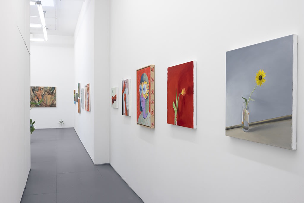 Installation image of the hallway in the LUSH exhibition