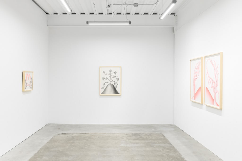 Devra Fox - "In Orbit"