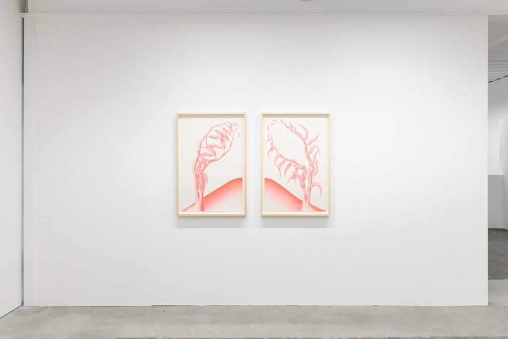 Devra Fox - "In Orbit"